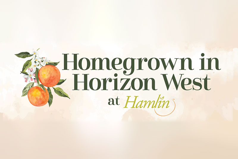 Graphic banner reading 'Homegrown in Horizon West at Hamlin' with an illustration of ripe oranges on a branch with blossoms, signifying local produce and community spirit.