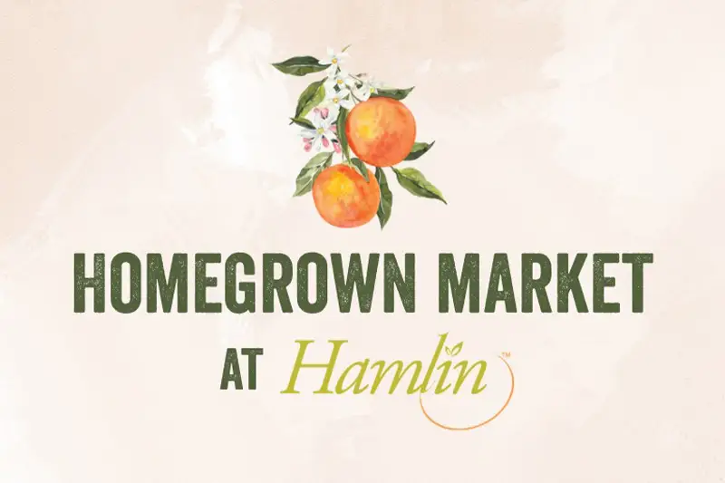 Homegrown Market at Hamlin event graphic featuring watercolor oranges with white blossoms on a soft blush background.